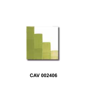 CAV 002406 colore per ceramica verde Colorobbia, colore per porcellana ViErreBi Marostica
