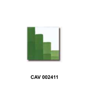 CAV 002411 colore per ceramica verde Colorobbia, colore per porcellana ViErreBi Marostica