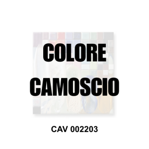 CAV 002203 colore per ceramica camoscio Colorobbia, idoneo alimentare MOCA e utilizzabile come colore per porcellana e gres - Vi.Erre.Bi Marostica
