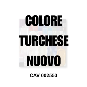 CAV 002553 colore per ceramica turchese nuovo Colorobbia, idoneo alimentare MOCA e utilizzabile come colore per porcellana e gres - Vi.Erre.Bi Marostica