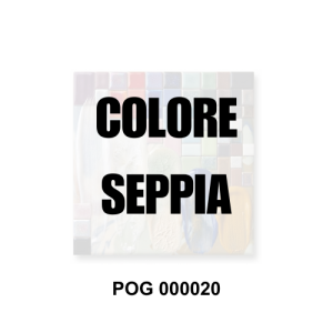 POG 000020 colore per ceramica seppia Colorobbia, utilizzabile come colore per vetro, colore per porcellana e gres - Vi.Erre.Bi Marostica